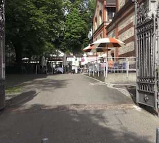 Mühle Tiefenbrunnen