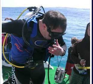 Tauchhase beim Check