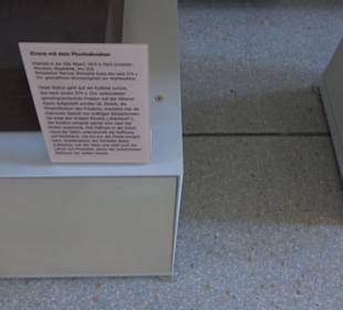 Museum Alte Kulturen