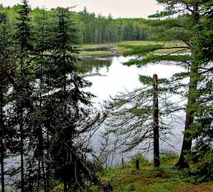 Algonquin Provincial Park, Beaver Pond