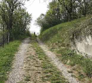 Wanderweg Firstwaldrunde