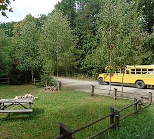 Bałtów-oglądanie zwierzą z aytobusu