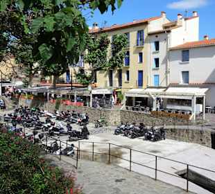 Frühling in der Altstadt von Collioure