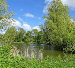 Impressionen aus dem Seenpark in Nordenham