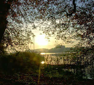 Sonnenaufgang am Müritzsee