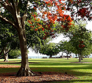 Stadtrundgang Darwin
