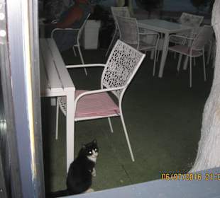 Die liebling übernimmt der Reste