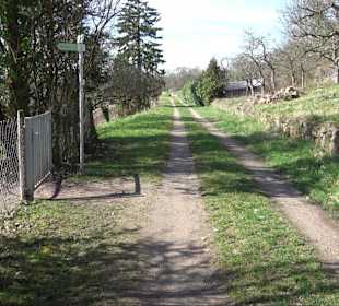 Hirschauer Spitzbergwegle (Premiumspazierwanderweg