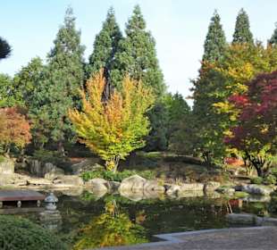 Im Japanischen Garten von "Planten un Blomen"