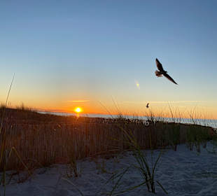 Strand Graal-Müritz