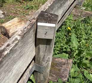 Buchtalhütte Magolsheim