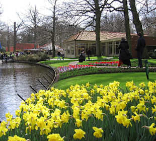 Ogrody Keukenhof
