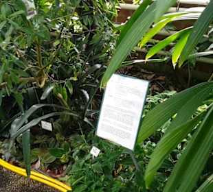 Botanischer Garten 