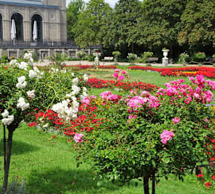 Impressionen vom französischen Parterre der Flora
