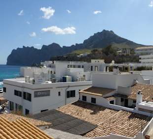 Bei einer Ausfahrt und kurzem Anhalten fotografiert.