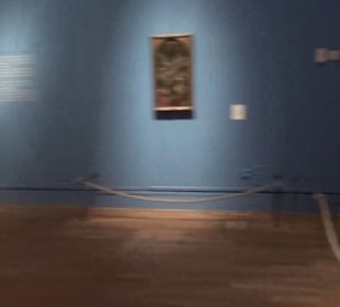 Museum Artes del Libro