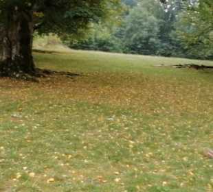 Grillplatz Eninger Weide