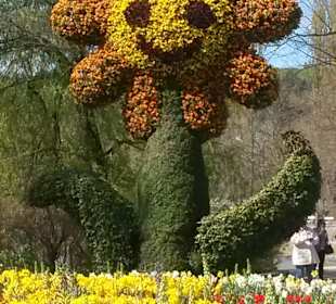 Ile de Mainau (île aux fleurs)