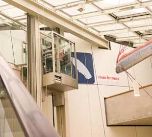 Der gläserne Fahrstuhl