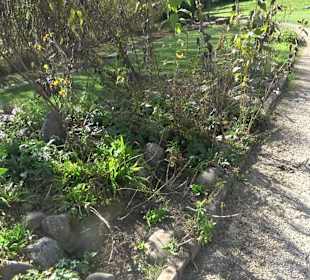 Park Oase der Gesundheit