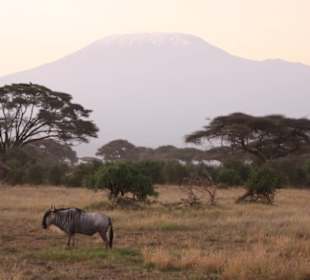 Amboseli Nationalpark
