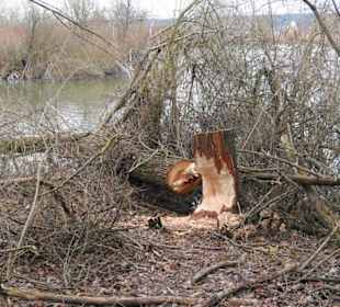 Seeimpressionen