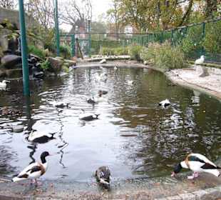 Kurpark