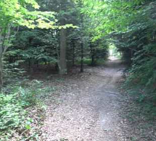 Kreuzweg zum Tannenrain