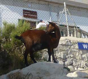 Puerto de Soller