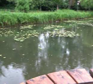 Fischlehrpfad Neu-Ulm