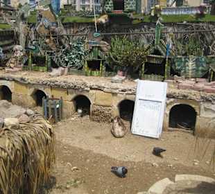 Duck's Village