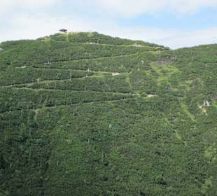 Serpentinenweg zum Gipfel