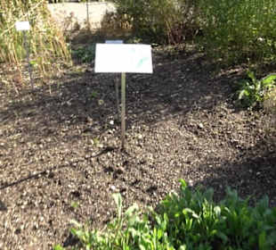 Botanischer Garten München