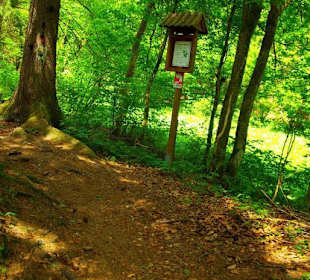 Wanderung zum Bärenfels