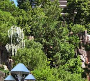 Blick auf das Wynn Hotel & Casino