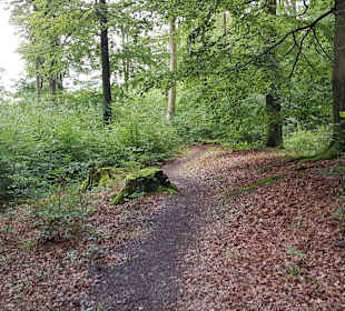 Wandern Schmallenberg