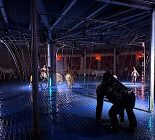 Irrland Bauernhof-Erlebnisoase