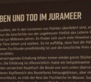 Dinosaurier Museum Altmühltal