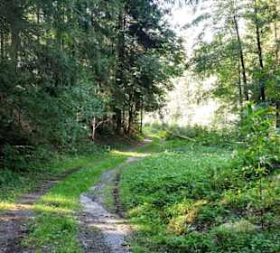 Einfache Weg