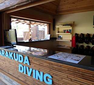 Barakuda-Diving