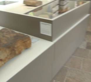 Niedersächsisches Landesmuseum