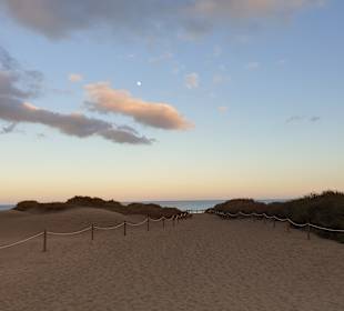 Dünen von Maspalomas