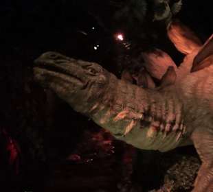 Themenbereich Frankreich