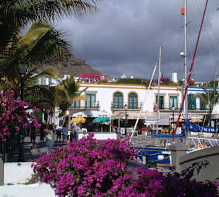 Diese Blumenpracht man riecht sie oder?