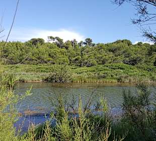 Stadtrundgang Sa Pobla