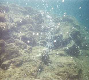 Das Champagner-Riff / Dominica / 12/13