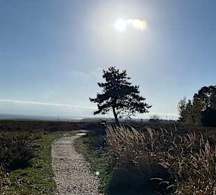 Wandern Gemeinde Sylt [Sylt]