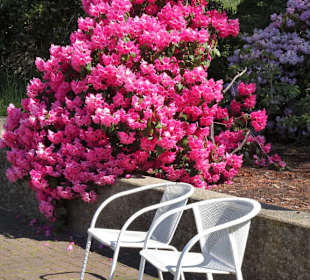 Eindrücke vom Spaziergang durch den Stadtpark