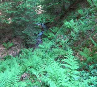 Teufelskanzelsteig Bad Griesbach