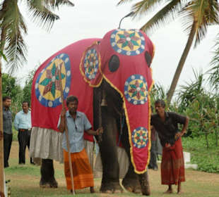 Geschmückter Elefant